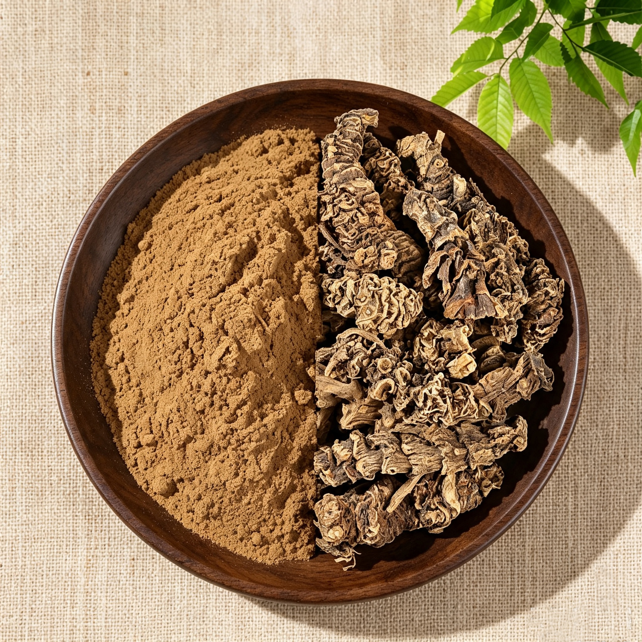 Valerian Root
