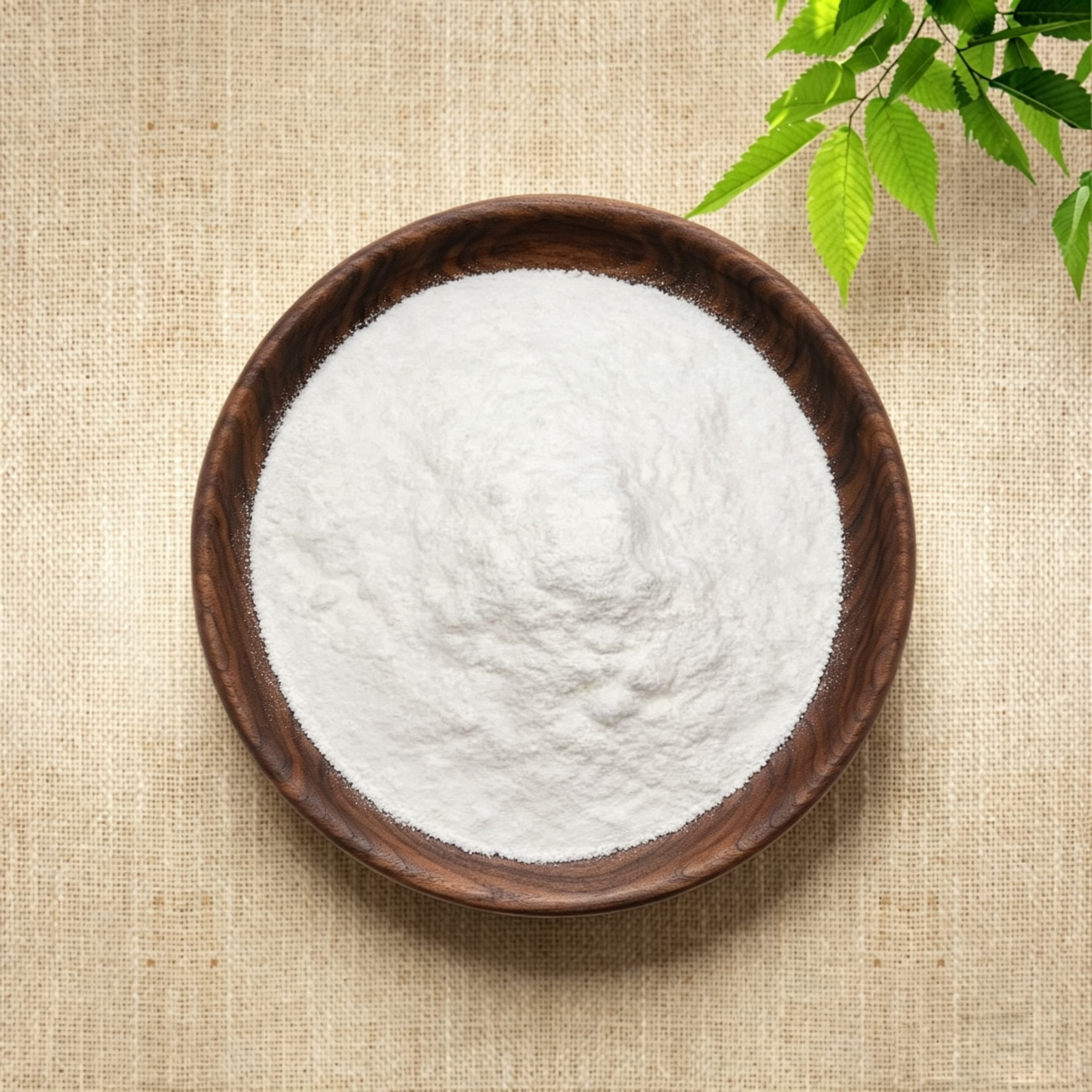 GABA Gamma-Aminobutyric Acid