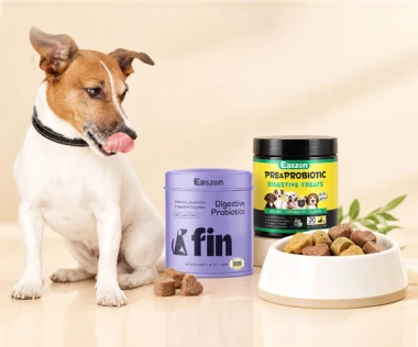 Gut & Digestion