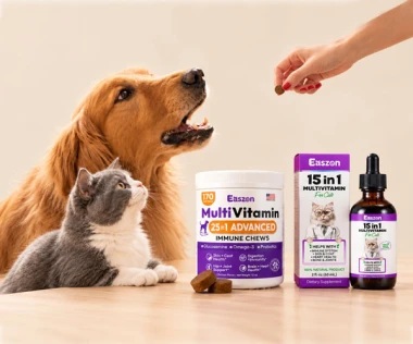 Immune Support