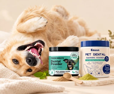 Dental Care